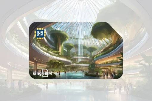 eSIM Singapore 1 day best for transit